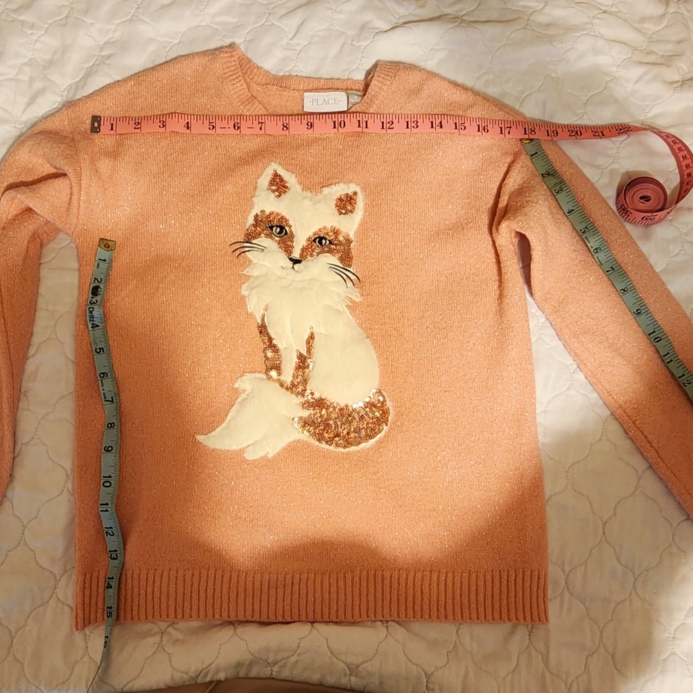 Youth sweater size medium pink with fox imposed on the front.